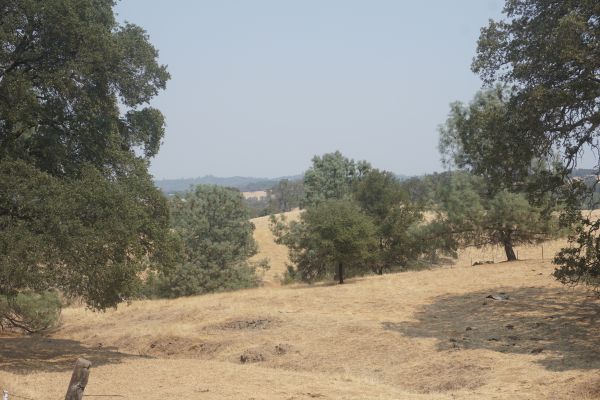 [Picture of View from Old Amador Highway]